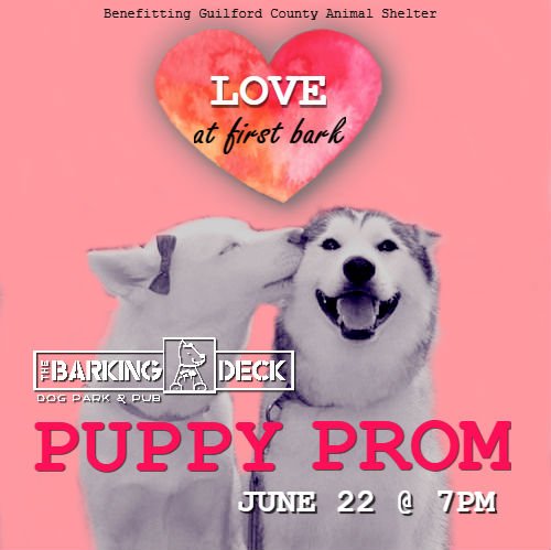 TheBarkingDeck's tweet photo. PUPPY PROM 😍, Family Night 👪, and Dachshund Takeover! 🐾 - https://t.co/742HbGAgvI https://t.co/b3oBOWlmmU