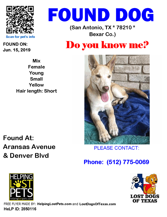 LostDogTX's tweet photo. Facebook link https://t.co/IEJ9RM4Qyt #Bexar #LDOT FOUND DOG Unknown 06-15-2019 https://t.co/oteSxp7CAD Bexar Co., San Antonio (Aransas Avenue &amp; Denver Blvd), TX 78210. Unknown/ Female *** Mix *** Yellow/ Young/ Small/ Hair Length is Short/.

CONTACT Phone: (512) 775-0069 

Mo… https://t.co/XdKi9jjmQn