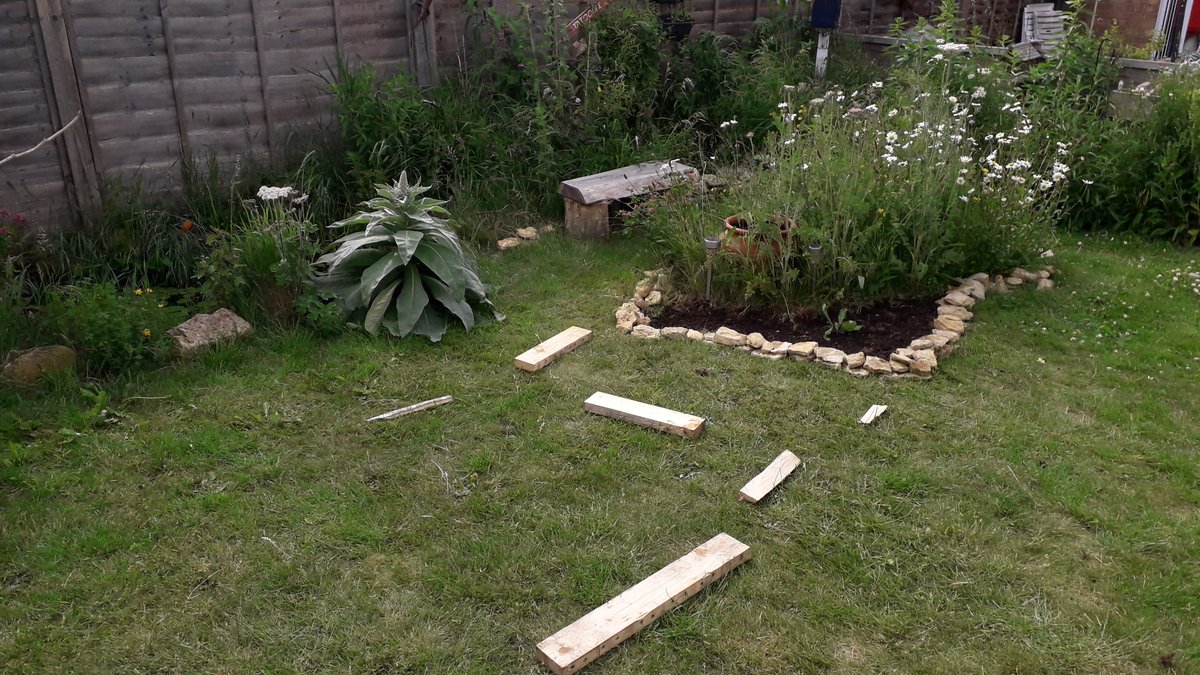 JDBaker81's tweet photo. Extensions to the wildlife patch have started here at #DidcotBugs Central. One of the current residents has been closely observing the work! #pond #frog #amphibians #nature #30DaysWild #wildlife @Natures_Voice #didcot https://t.co/ChkdUVbJwJ