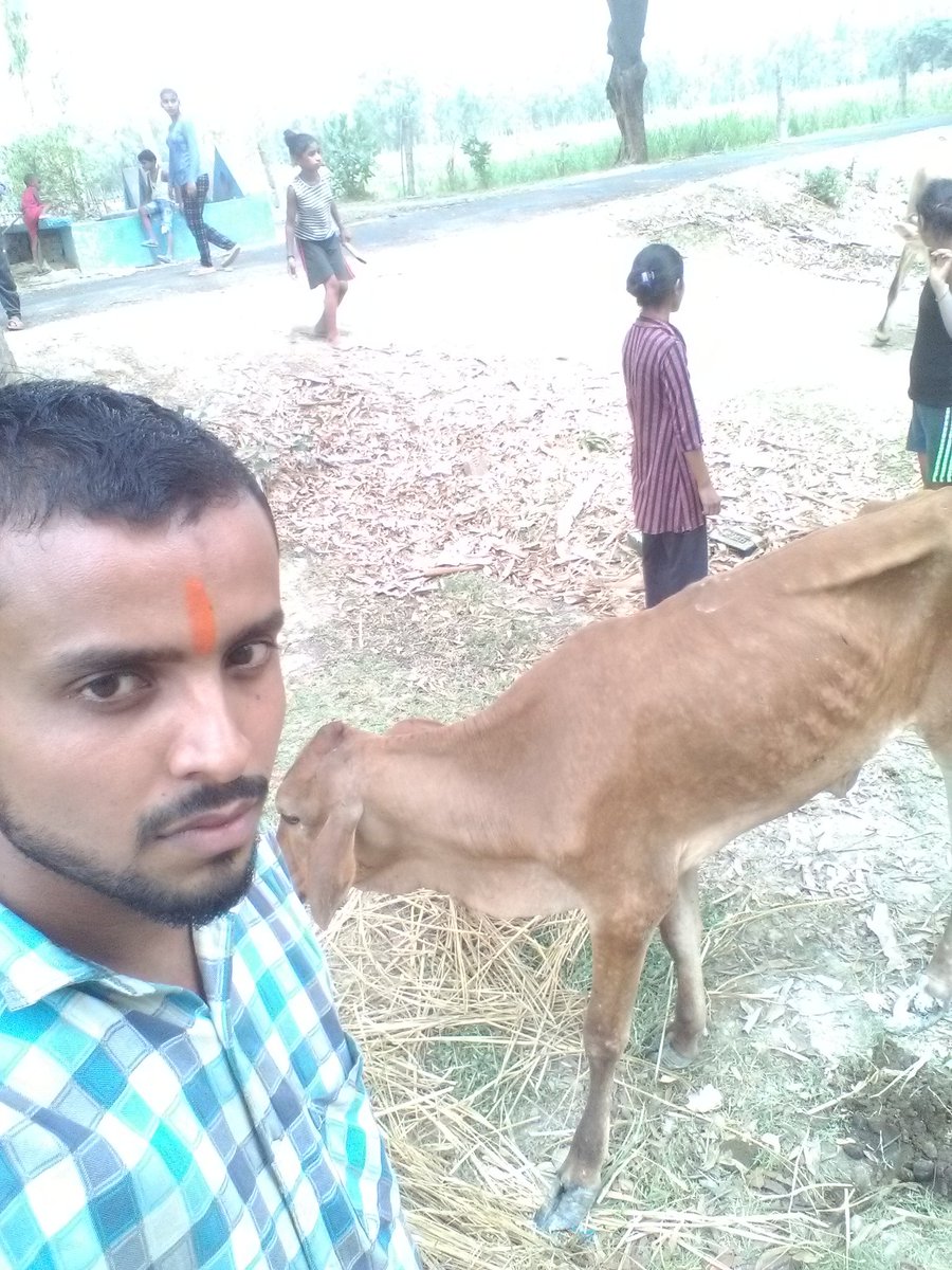 Dirar7Nabil's tweet photo. Kisan bhi Pareshan aur Janwar bhi https://t.co/gNdg3DdNoi