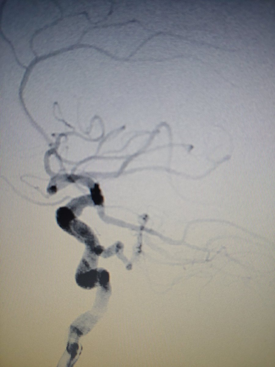 Dr. Joe Loeb 💀🧠 tweet media