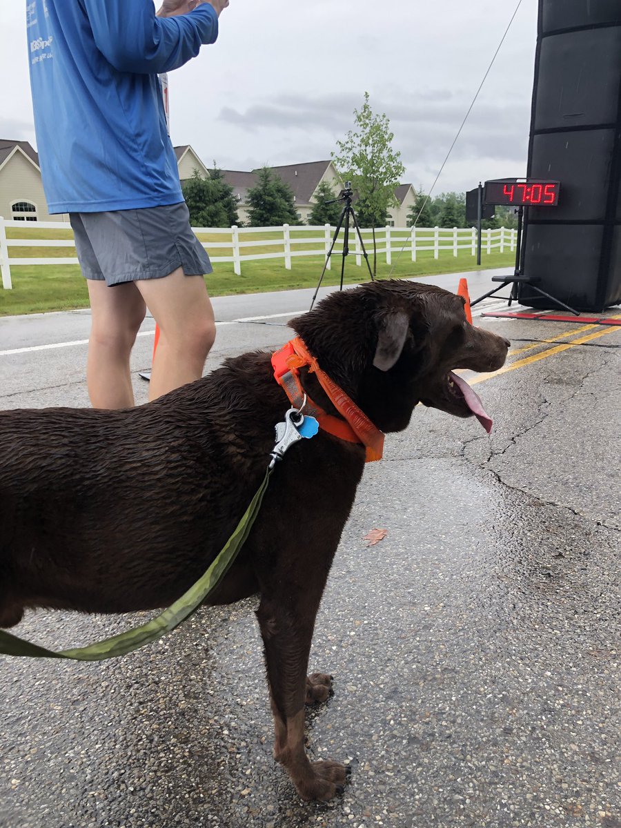 ameliaccameron's tweet photo. Thank you so much to everyone who came out today for Bark in the Park! I am so happy that so many people (and their dogs) were able to attend! https://t.co/5BSxfGNW30
