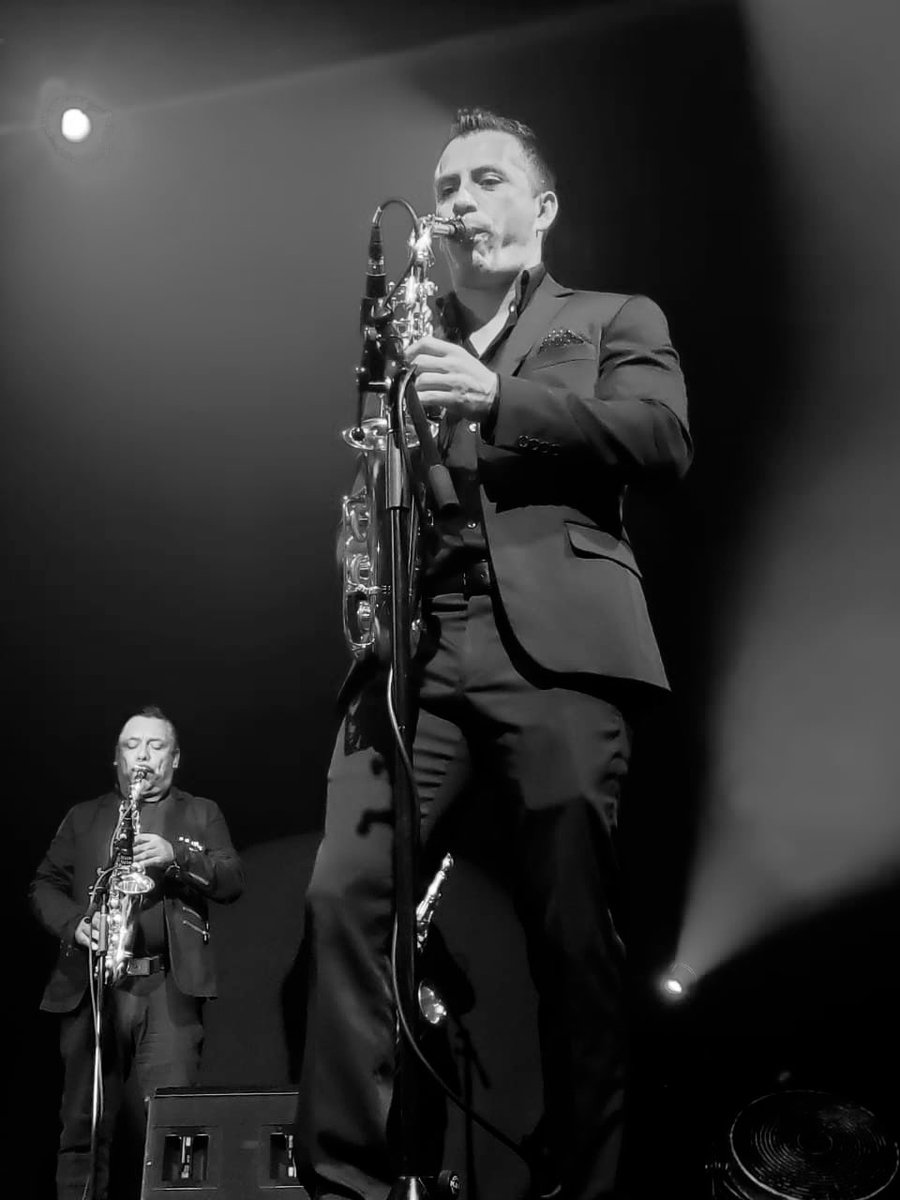 Memo SERRANO tweet media