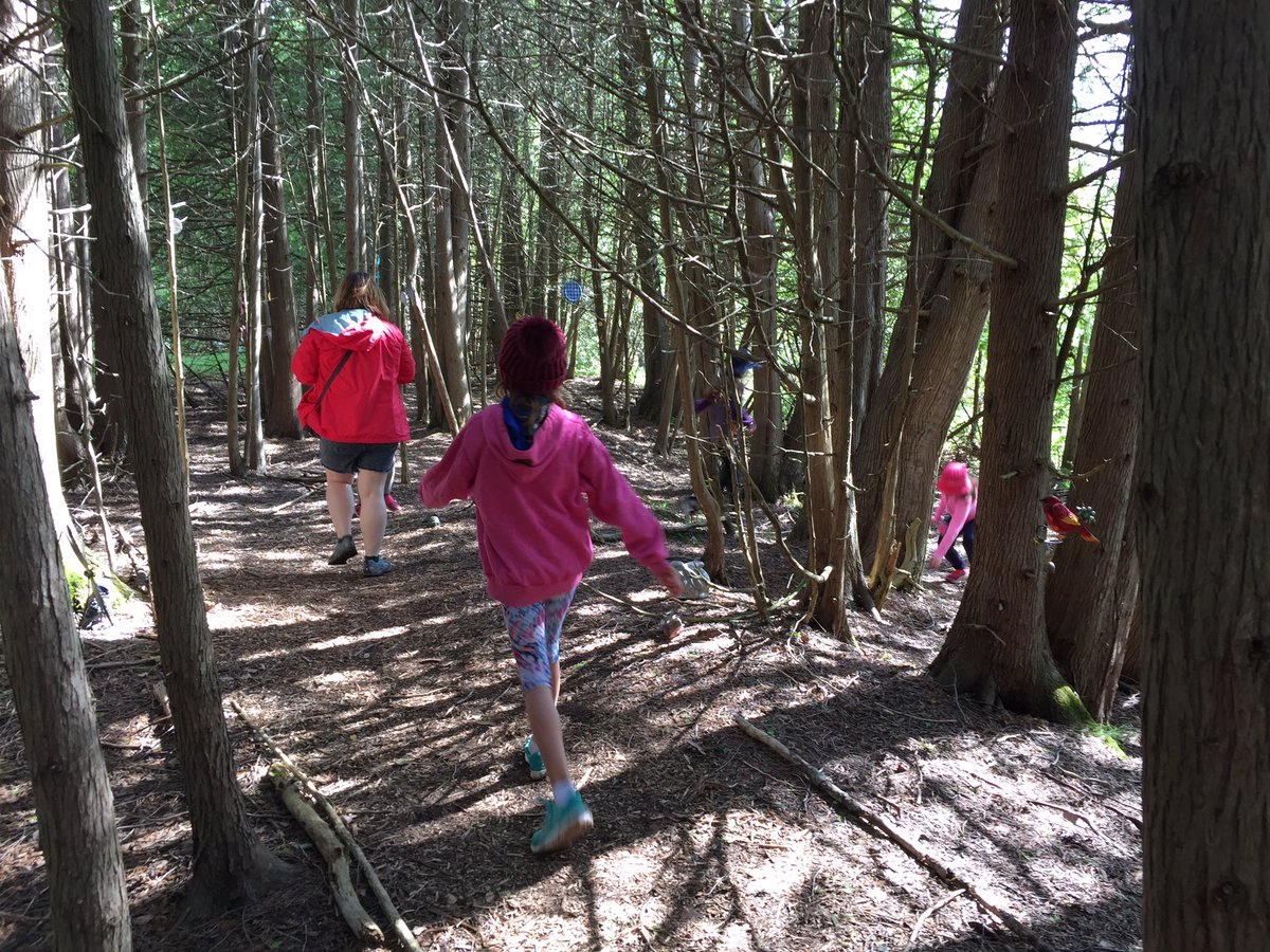 brownowl139's tweet photo. A visit to the Enchanted Forest to play Predator and Prey! #Brownies #GirlGuidesOfCanada #BrownieCamp #MaKeeWa #PredatorAndPrey #EnchantedForest https://t.co/I3GeP5tnVQ