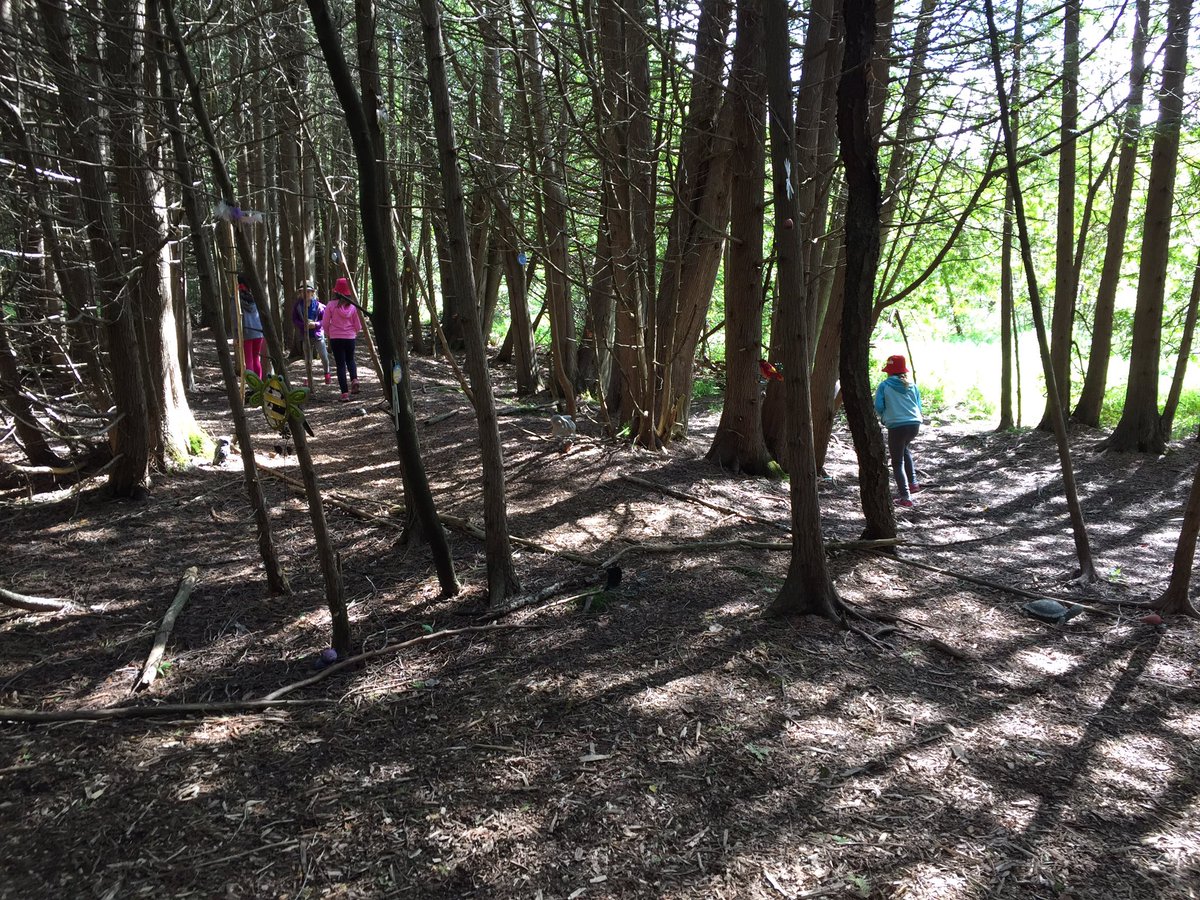 brownowl139's tweet photo. A visit to the Enchanted Forest to play Predator and Prey! #Brownies #GirlGuidesOfCanada #BrownieCamp #MaKeeWa #PredatorAndPrey #EnchantedForest https://t.co/I3GeP5tnVQ
