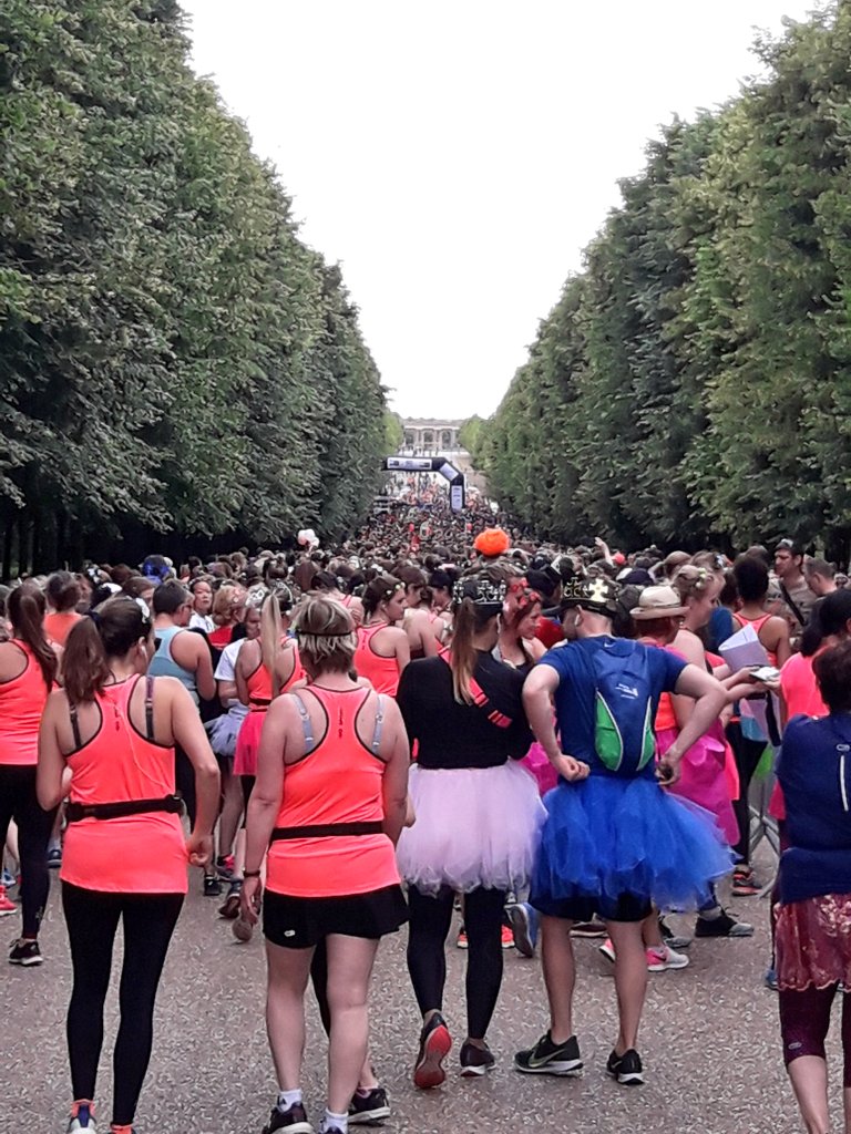FWegscheider's tweet photo. #Finisher 👟
Une petite #CourseDesPrincesses @GOSportRunning au chateau de @CVersailles. Notre marraine, cette année : @LauryThilleman.
Bon décrassage après des années de jachère sportive ! Et merci à la famille pour le soutien 👏❤ https://t.co/r3CxA46Ump