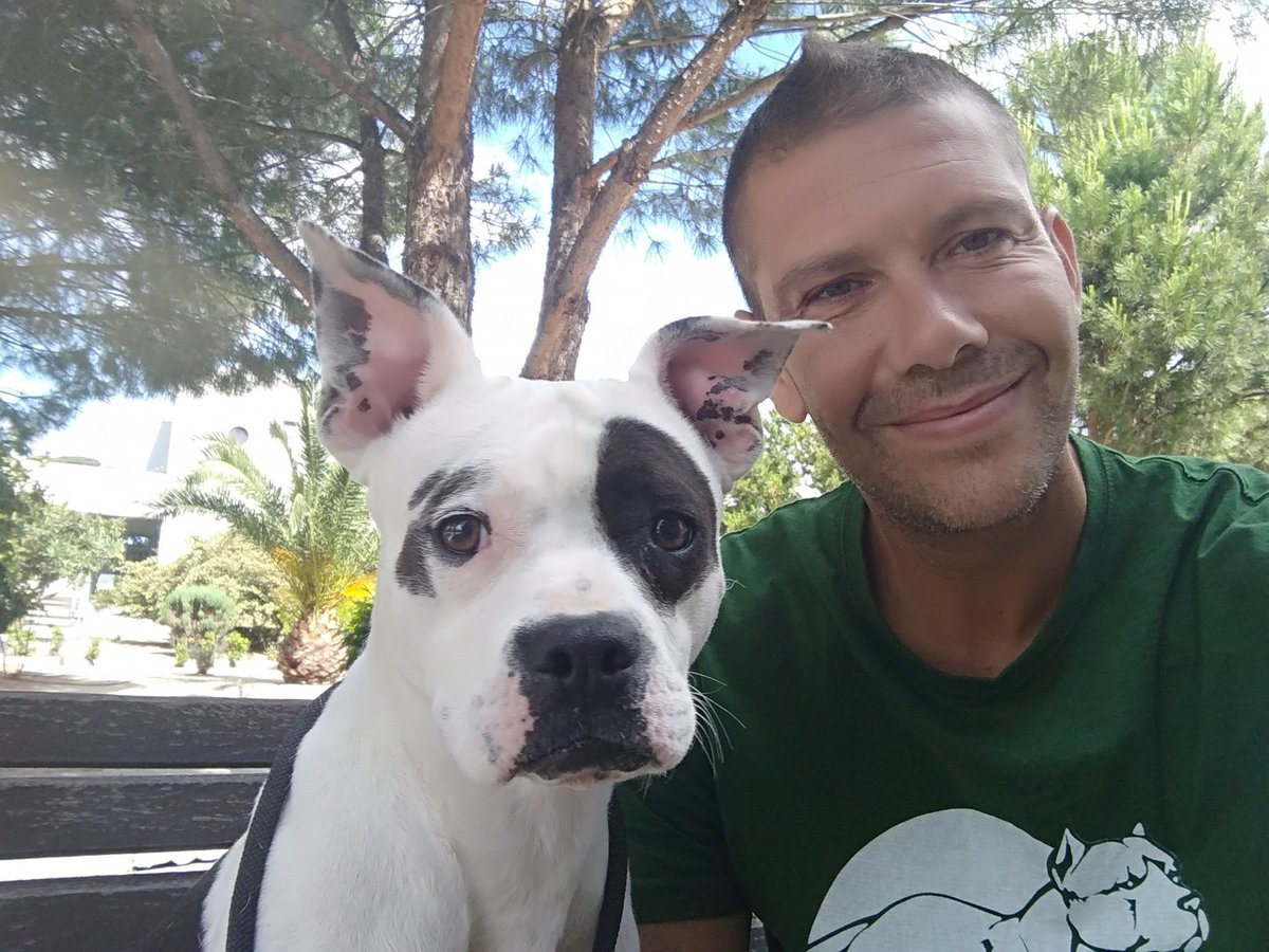 life4pitbulls's tweet photo. CALI, de 1 año necesita #acogida URGENTE EN MADRID O BARCELONA. Está cojita de una pata. Hay que operarla y la recuperación en un chenil es muy dura.
Tenía heridas profundas y creemos que probablemente el maltrato le ha producido su lesión.
La #acoges? #adopta #difunde #RT https://t.co/KmmHWIwdWq