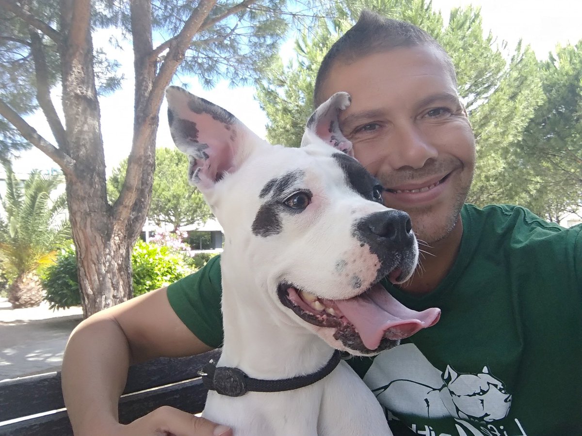 life4pitbulls's tweet photo. CALI, de 1 año necesita #acogida URGENTE EN MADRID O BARCELONA. Está cojita de una pata. Hay que operarla y la recuperación en un chenil es muy dura.
Tenía heridas profundas y creemos que probablemente el maltrato le ha producido su lesión.
La #acoges? #adopta #difunde #RT https://t.co/KmmHWIwdWq