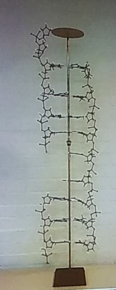 NottsScience's tweet photo. Notes from a talk by @UniofNottingham Prof Harding on the role the university played in the discovery of the structure of DNA 
https://t.co/SadSI7I1JF https://t.co/V8QpVU3UCn