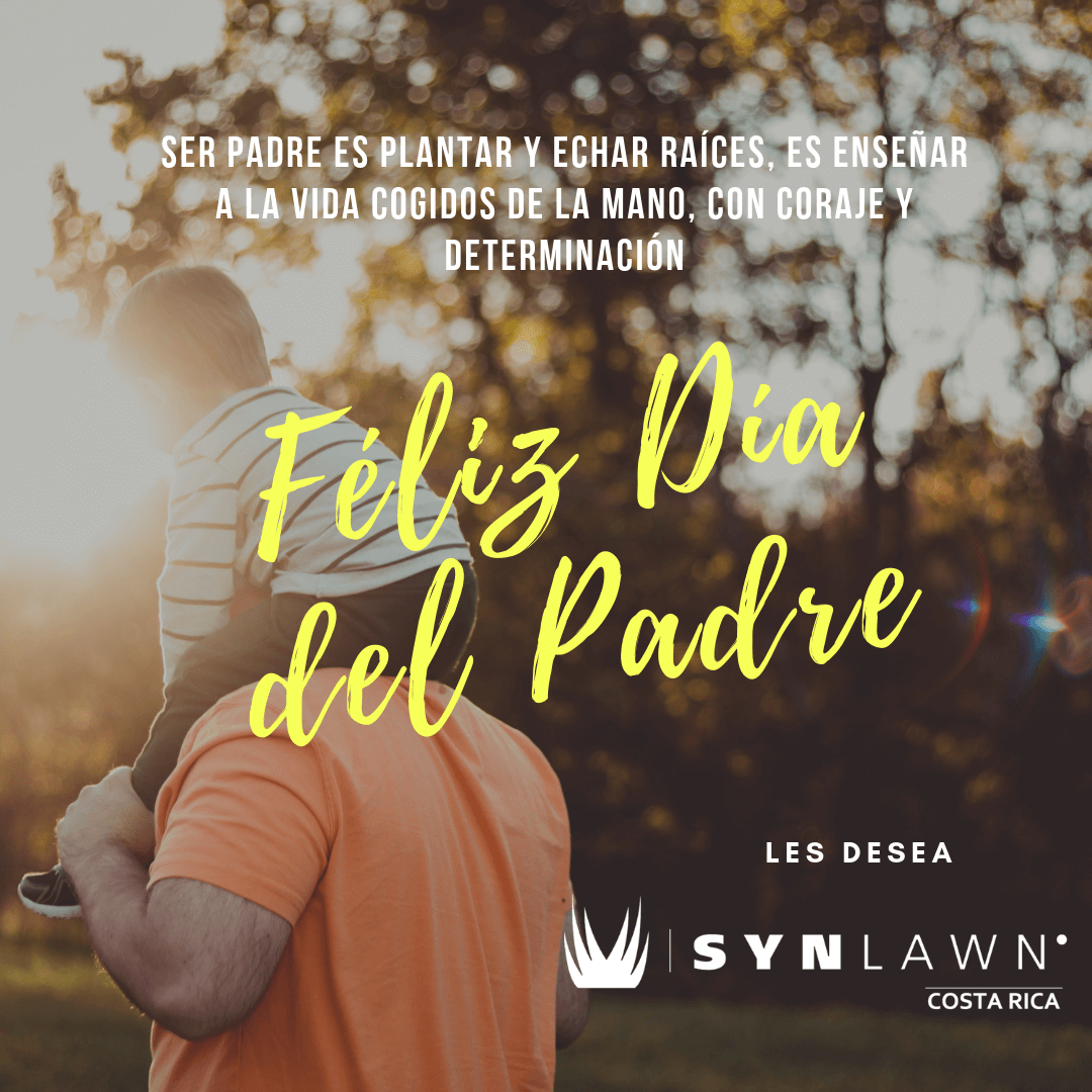 Actualizar 52+ imagen dia del padre costa rica Abzlocal.mx