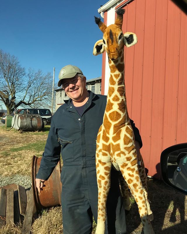jareddelong's tweet photo. Happy Father’s Day to this goofy guy! Leave it to him to find a giraffe alongside the road. Does that count as roadkill? #happyfathersday https://t.co/diur9UIyoV https://t.co/la4FtaO1bk