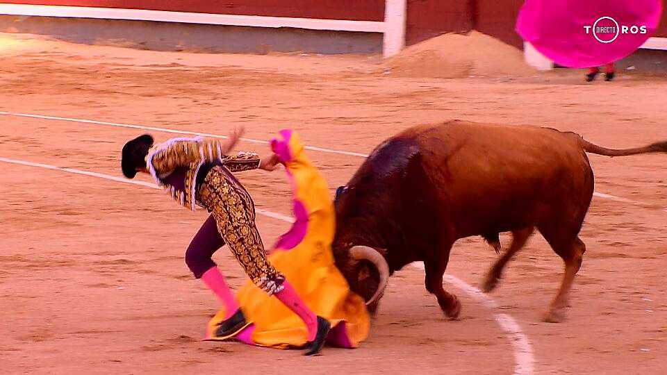 Javitaurino__'s tweet photo. Hacerte tu mismo el quite por el Fandi https://t.co/ZZzNJI8c56
