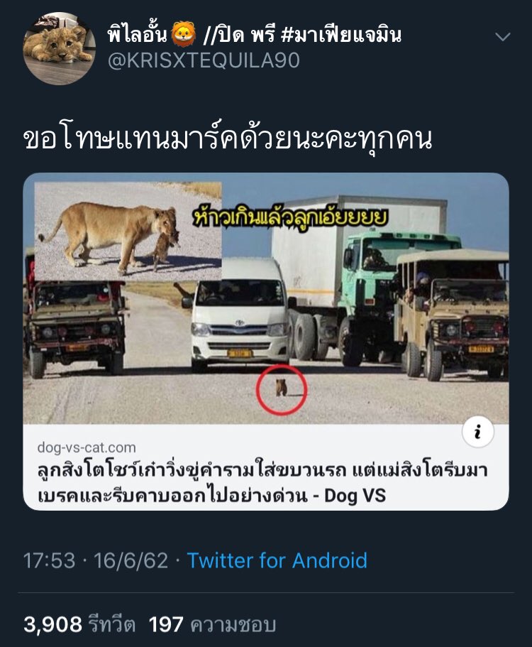 julil tweet media