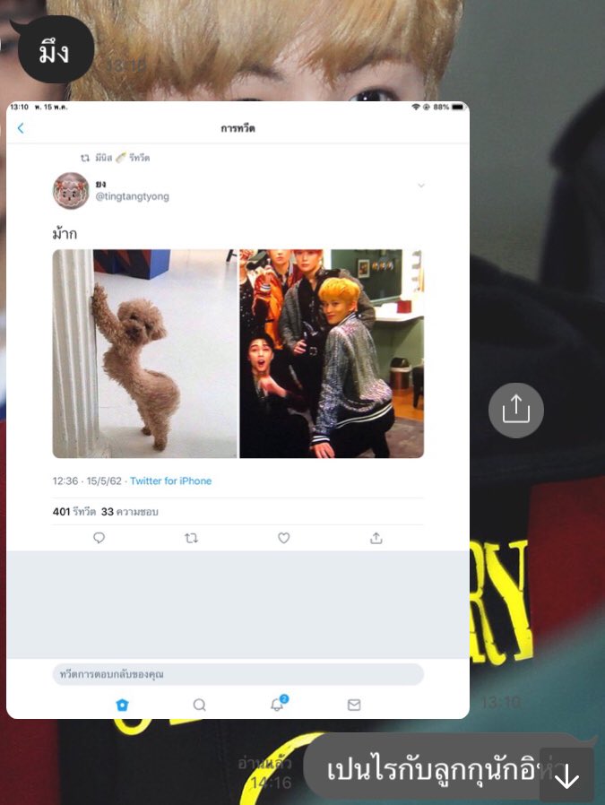 julil tweet media