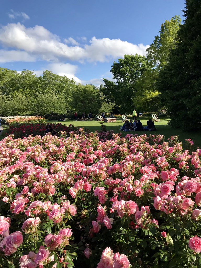 cesaredcl's tweet image. 