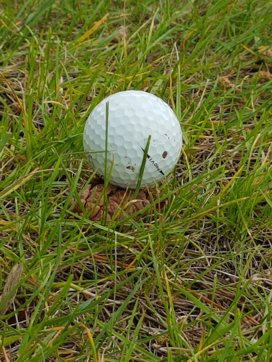 ShaunJudd1's tweet photo. Only Tim can hit it 220 yards down the 10th at Wrag Barn and land it on top of a pine cone 😂 Teed up for the next shot👍🏻 https://t.co/uydPRs5ohC