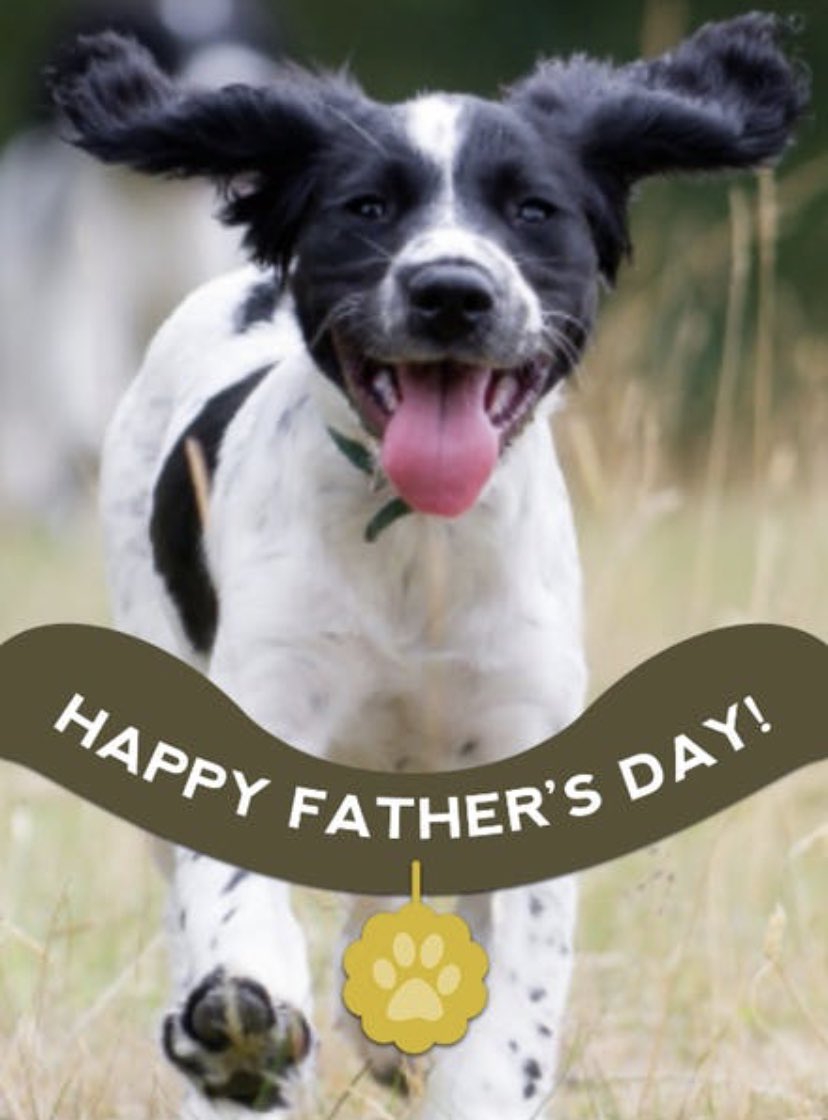 To all the Fathers out there hope you’re having a great Father’s Day. #Sundayfunday#fathersday2019#packlife#puppylove#doglover#animallover#dogpack#allbreeds#wesleychapel#tampa#dadecity#lutz#landolakes#zephryhills#newtampa#servicedog#servicedogtrainer#highlandcaninetampa