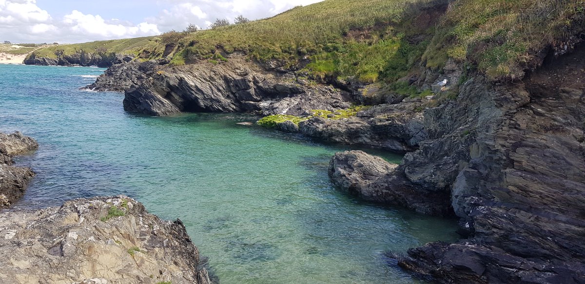 Pukekobird's tweet photo. Love where I live cornwall #polyjoke #crantock #newquay #cornwall #june #walk #coastline https://t.co/ySf7aCPvoN