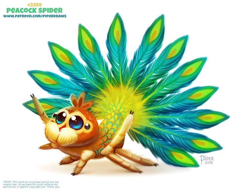 Daily Paint 2399. Peacock Spider
Prints available at: forgepublishing.com                                                             
For full res WIPs, art, videos and more: patreon.com/piperdraws