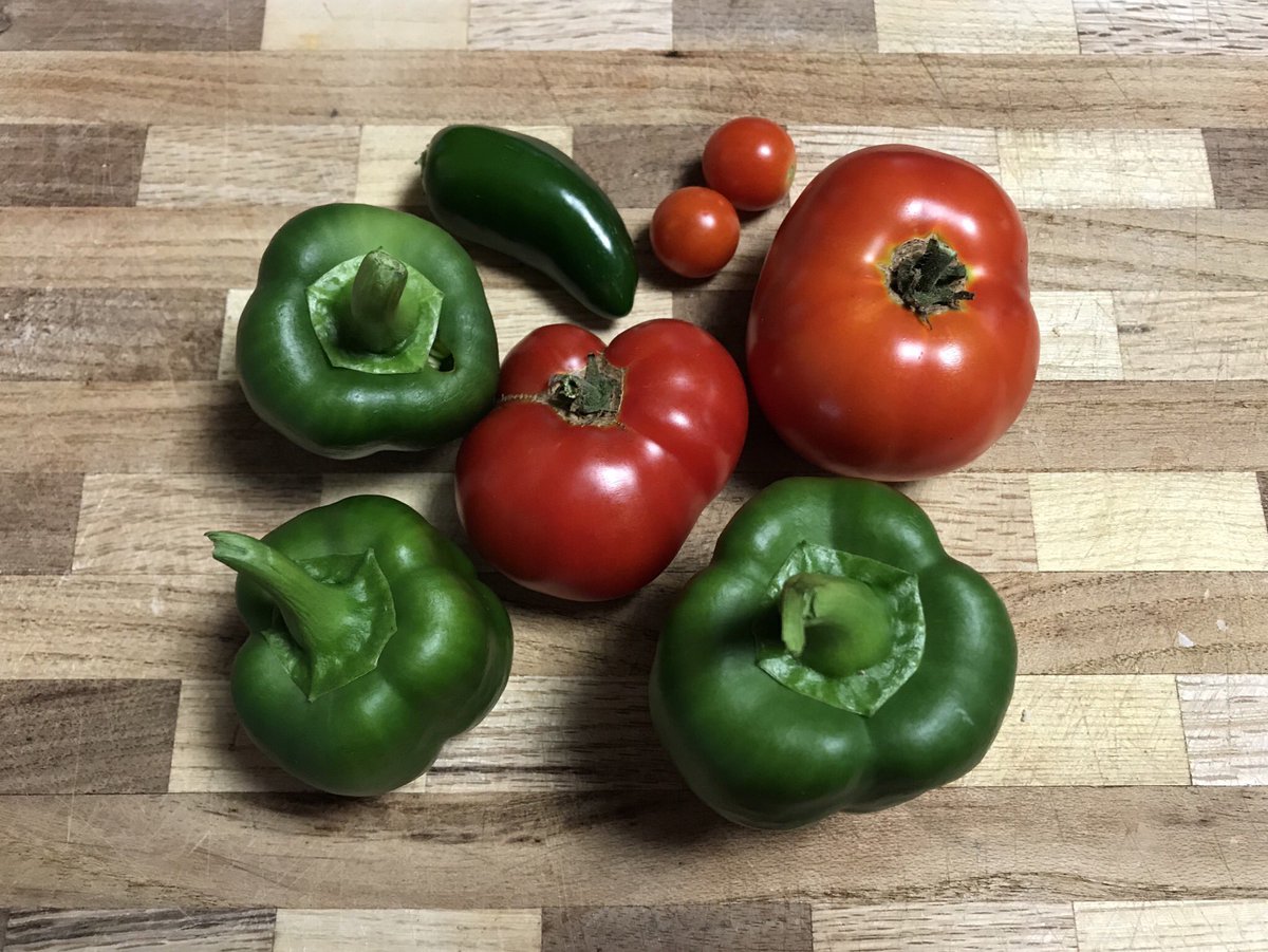MulberryRapids's tweet photo. Veggies from our back deckβgardenβ overlooking #WindLake. #LakeLife #WestMonroe #Louisiana https://t.co/42RmbDDsIv