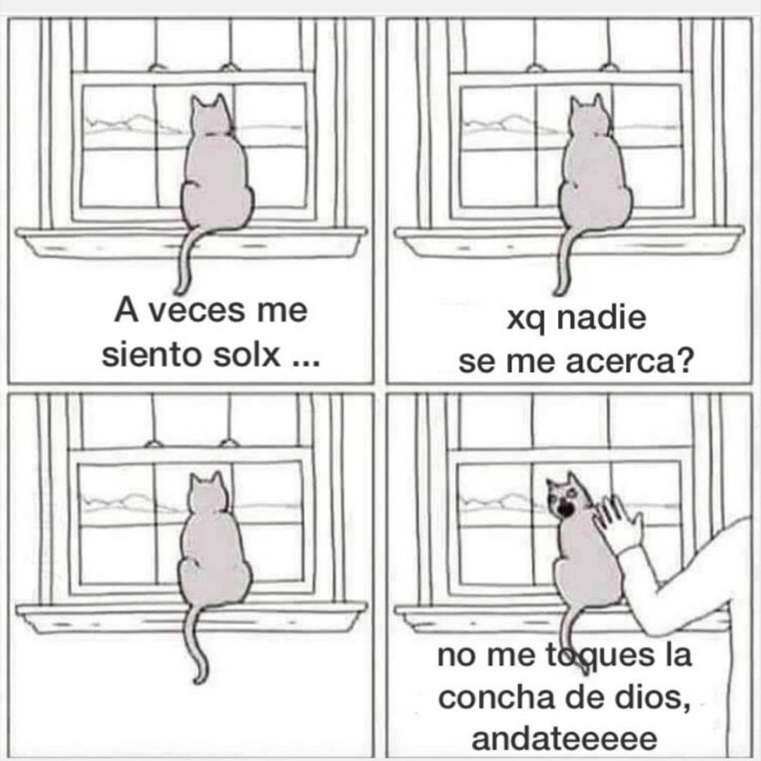 muyviolento's tweet photo. https://t.co/UbD3J97hG3