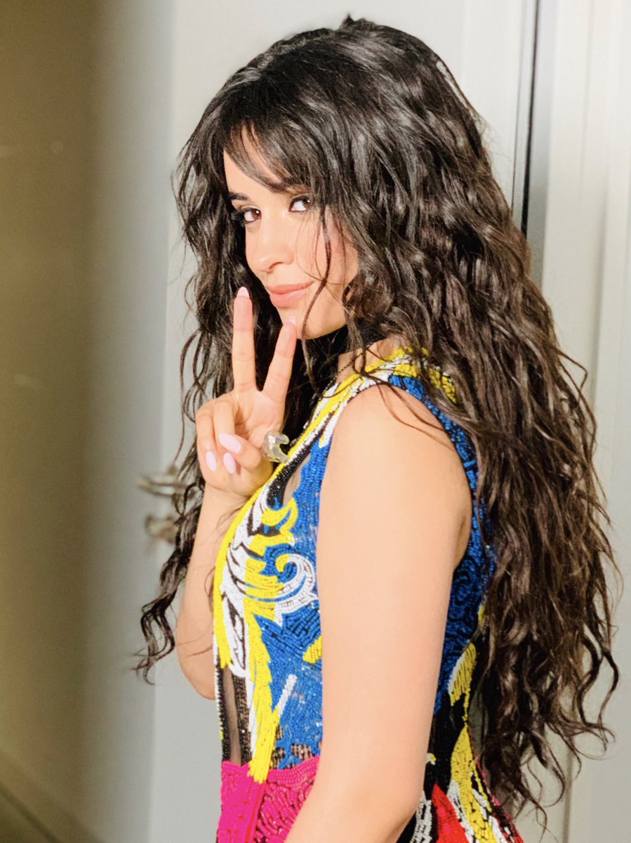 camila tweet media