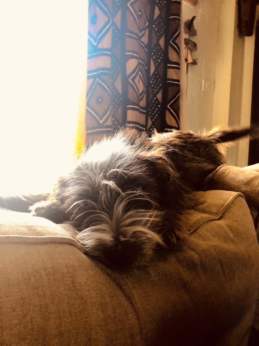 SallyGeake's tweet photo. How to deal with the end of tour...brekkie with school friends, Sunday roast and a country walk...all in the shire! #RestingActor #Bliss #Happy https://t.co/D8sybiznWI