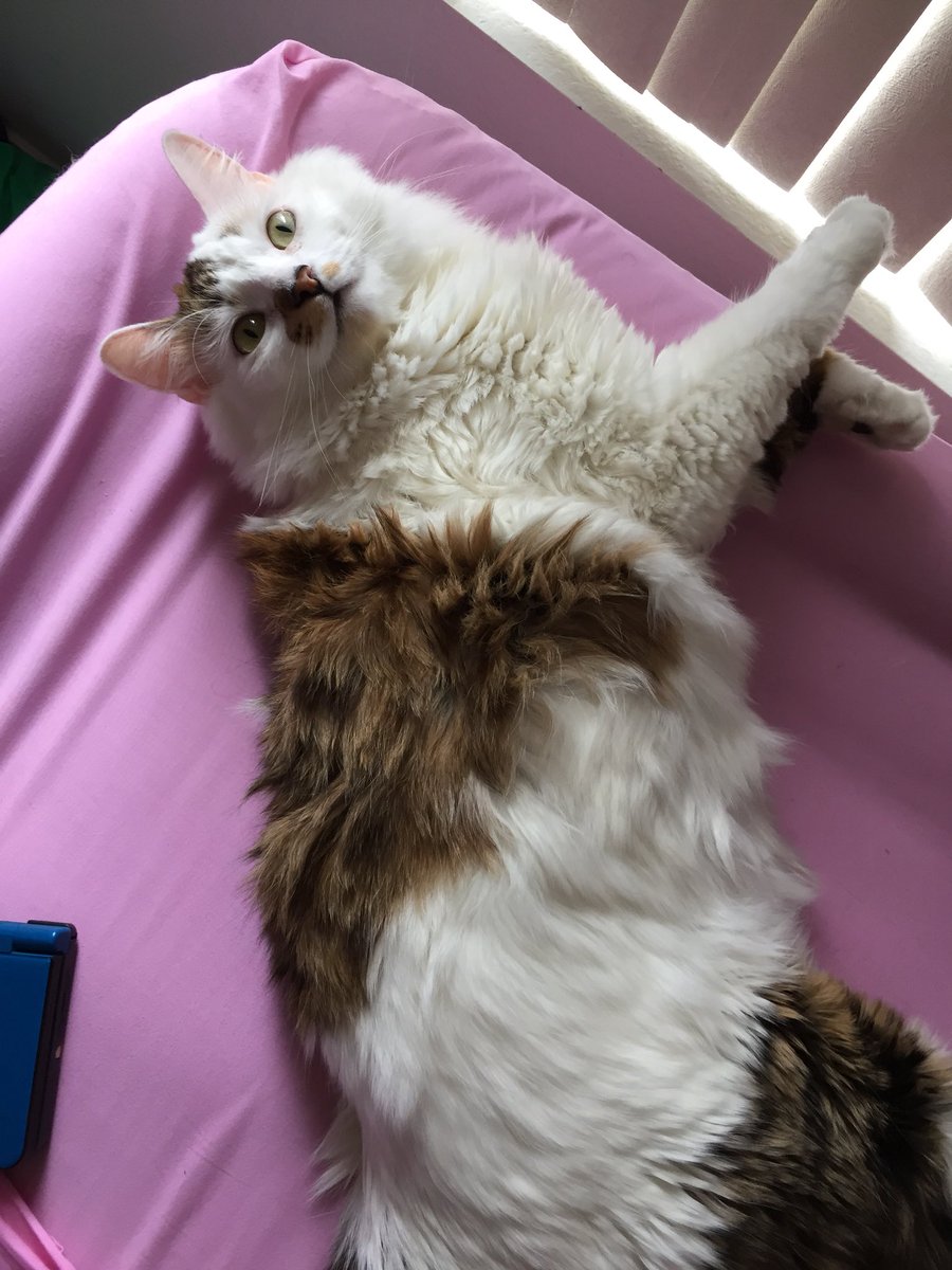 squinchin tarantino @ gmail.com tweet media