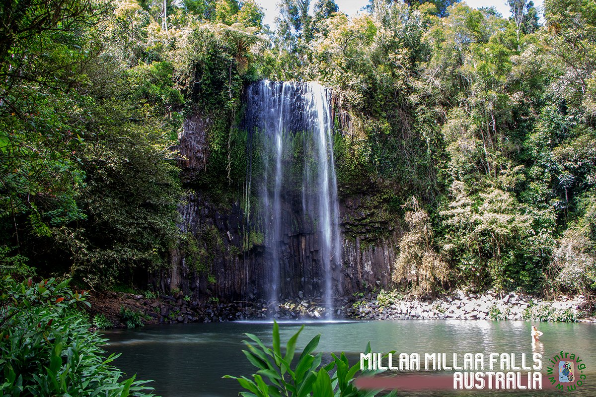 infravg's tweet photo. Millaa Millaa falls, impresionante cascada. #millaamillaafalls #infravg #diariodeviajes #tripdiary #canarios #travel #viajar #wanderlust #wander #buscablogs #theglovewanderer #travelcouple #canariosporelmundo #viajerosporelmundo #traveladdict https://t.co/0GRSehAC9p https://t.co/EuCEj4gib0