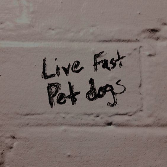 morallyred's tweet image. 