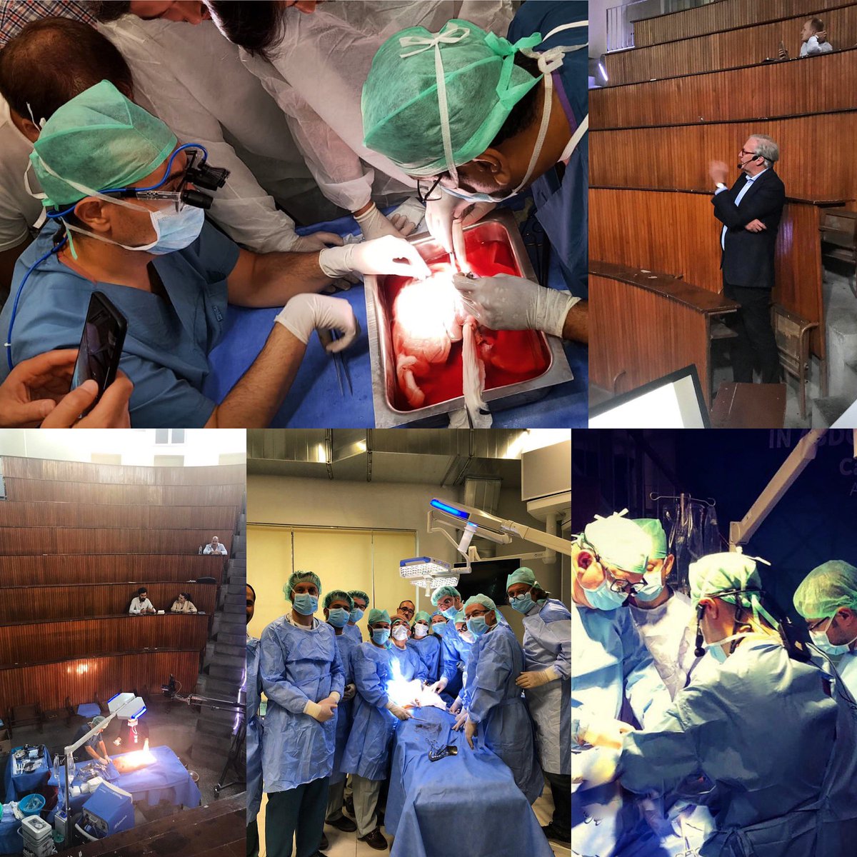 We had just finished an amazing weekend. Many thanks to our faculty and attendees. #abdominalprocurementcourse #machineperfusion #splitliver #itn #ibnisinahastanesi #ankaratıp #transplantation