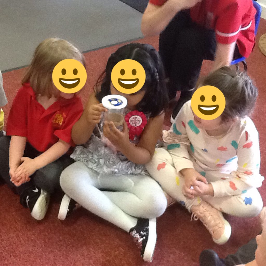 THPlaydays's tweet photo. Our caterpillars have arrived https://t.co/ncA8rOJG6Q