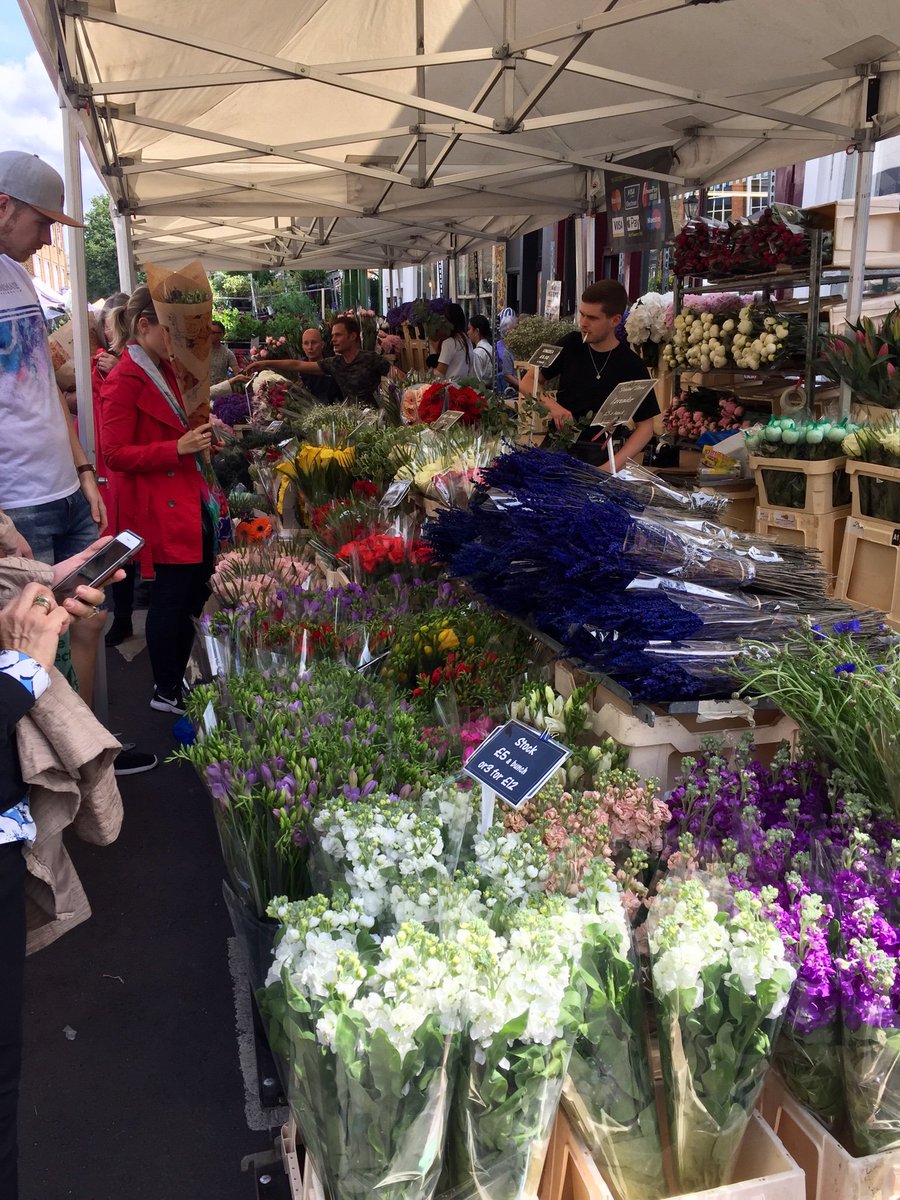 Last Sunday’s visit to London #hydrangeas #columbiaroadmarket #flowermadness #sundayvibes