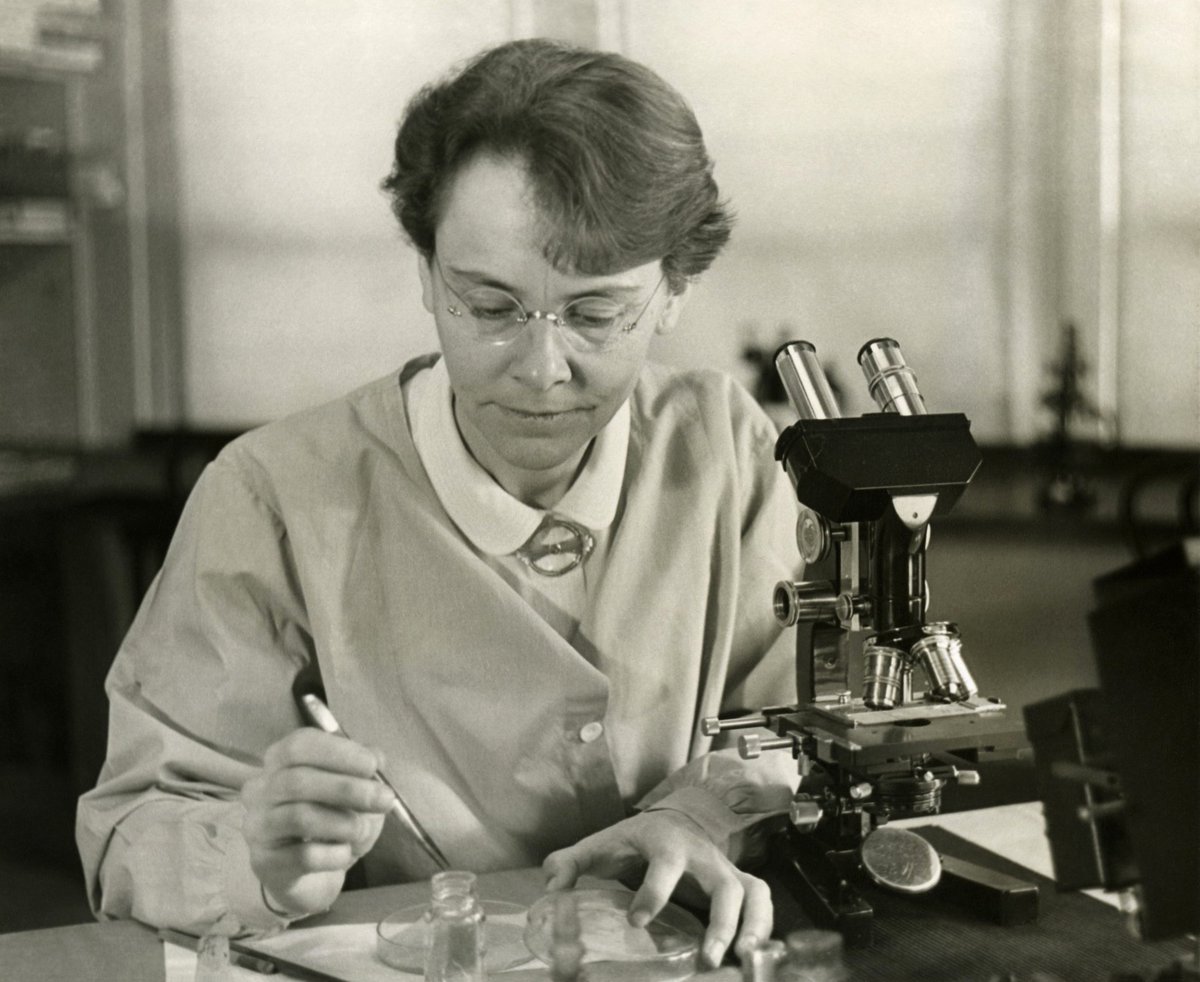 ThinkeryATX's tweet photo. #STEAMSpotlight: Born June 16, 1902, Barbara McClintock was a #geneticist who won the 1983 Nobel Prize in Medicine or Physiology for her discovery of transposable genes. https://t.co/rCe6yunzKM