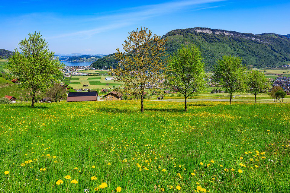 Stanserhorn Lake Lucerne #retweet #follow #travel #vacation #destination #world #wanderlust #adventure #nature #view #phototravelz