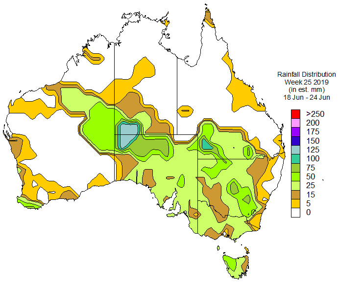 Ken Ring tweet media