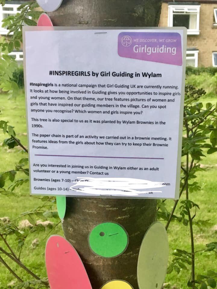 GuidingTynedale's tweet photo. @WylamBrownies have decorated a tree in their village as part of the village fair, linking their display  to @girlguiding #InspireGirls campaign. Girls brought in pictures of women who inspire them. They have put a lot of thought in and have chosen some amazing women. https://t.co/mtysaSel2C