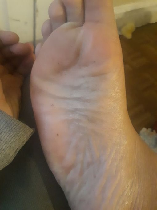 Lick my soles clean you little foot fuckers 😘 #findom #footworship #footslave https://t.co/PEG2FZoRB<a href="/tag/findom"class="tags"><span>#findom</span></a><a href="/tag/footworship"class="tags"><span>#footworship</span></a><a href="/tag/footslave"class="tags"><span>#footslave</span></a>