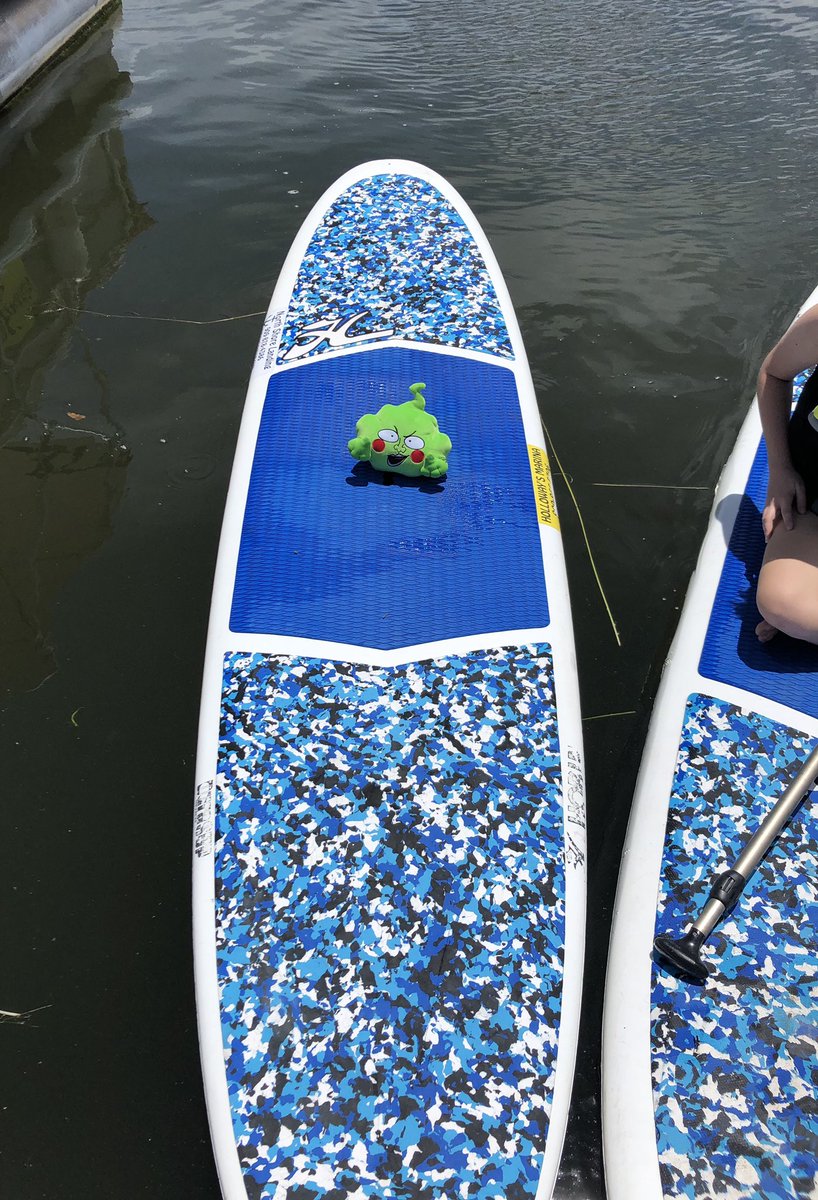 Dimple_bot_'s tweet image. it’s Vacation Time baby