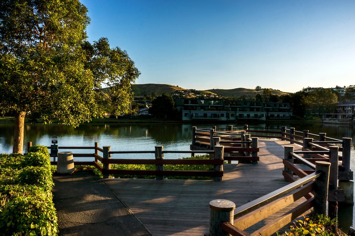 The Cove at Tiburon tweet media