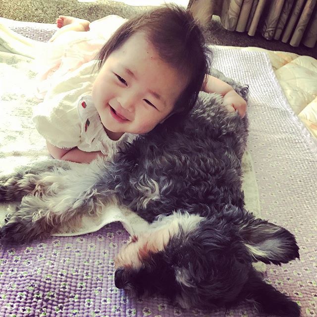 ikhr087's tweet photo. .
"いこちゃ〜ん長生きするんだぞ〜"
なぁんて会話してたりして〜😆
.
七瑠はいこいの命の恩人。
.
#実家スタイル
#家族で一番なるにべったり
#14歳老婆犬
#まだまだ生きてもらいます
#5ヶ月ベビー https://t.co/jtHxmmAKxZ https://t.co/RzYQMafVYu