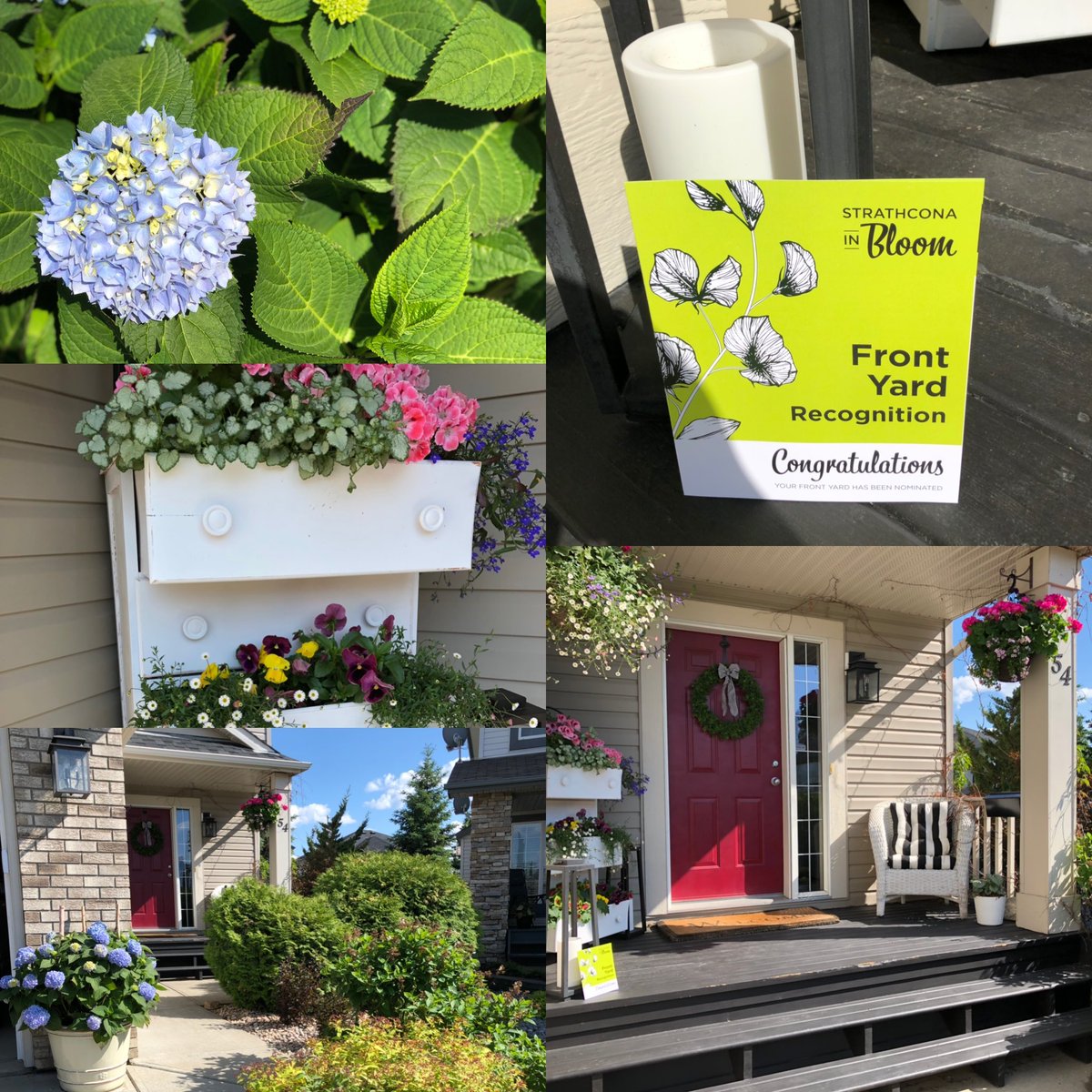 Pretty excited.... cause I have never won anything ..ever but came home today to see we are nominated for best front yard by <a href="/strathcocounty/">Strathcona County</a> #voteforme