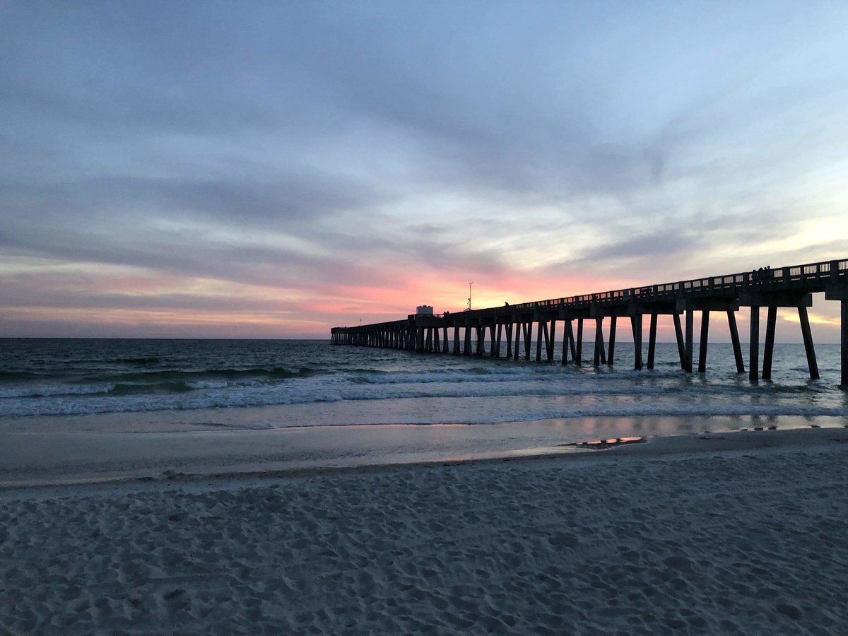 VISIT FLORIDA tweet media