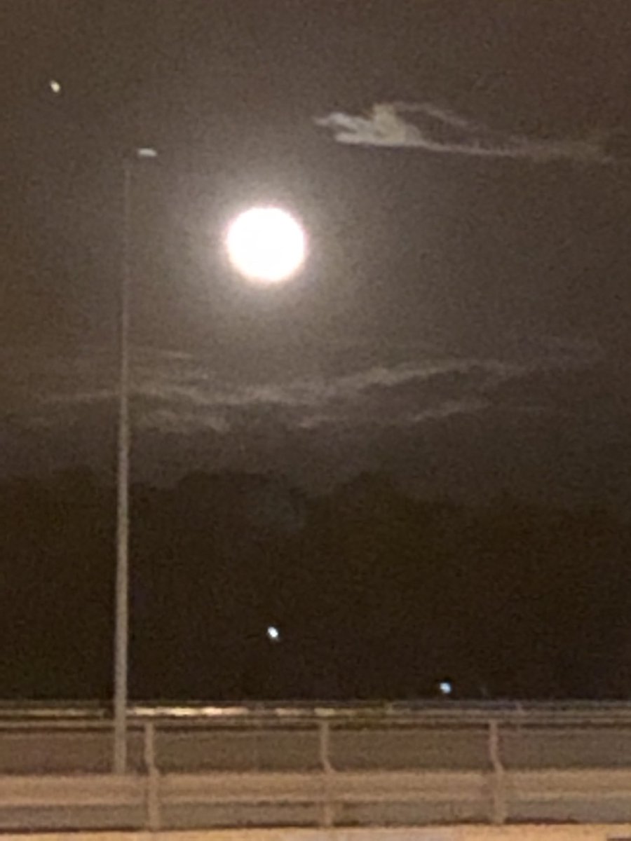 PumpkinandEgg's tweet image. Time for bed. This was last night's moon. Looked better in person.... #itsbedtime #bedtime #moon