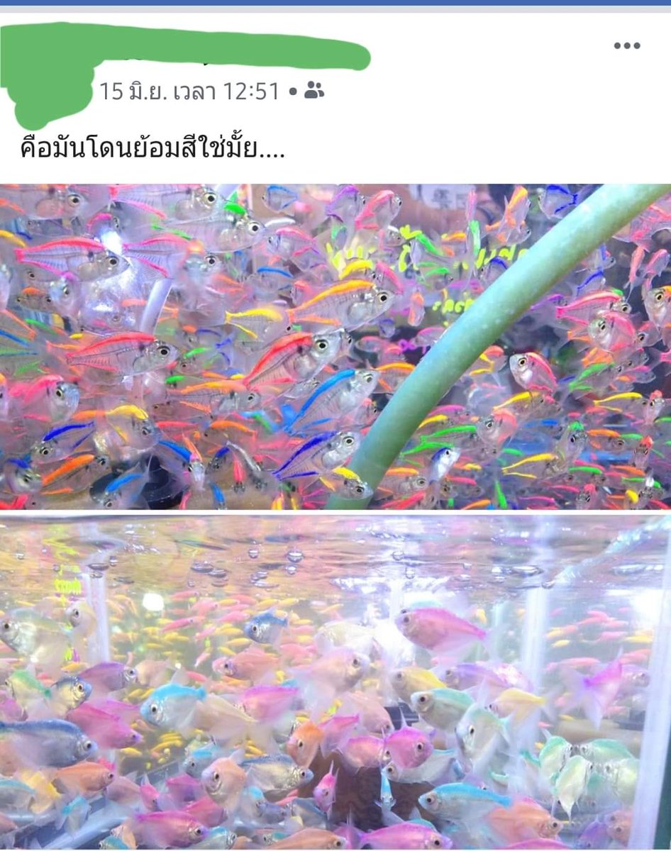 จญณ™ 🤍💙🐍 tweet media
