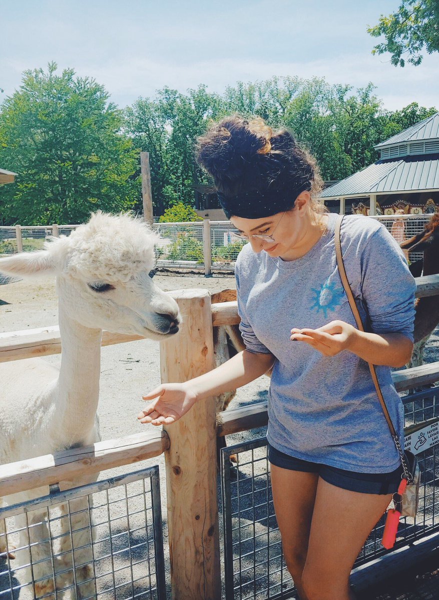 Pi Beta Phi • IN GAMMA tweet media