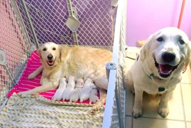 Show me a prouder father. I’ll wait.