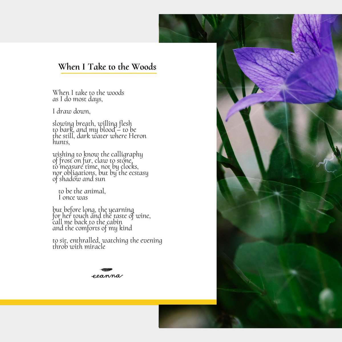 eeannapoetry's tweet photo. Ah…what wonders await within and without! #poetry https://t.co/MDwTMEZN2o