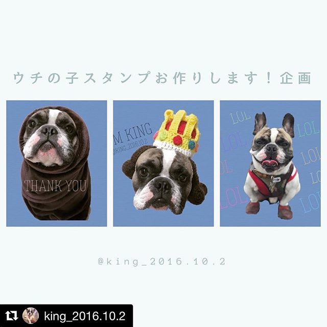 can_kuttya's tweet photo. *
いつかはLINEスタンプ
･:*+.\(( °ω° ))/.+*:･
*
そんな願い叶えていただけたら
嬉しいわ💖
*
あーたーれー✨
๛ก(ｰ̀ωｰ́ก )
*
#全国それいけカワイイものクラブ 
#frenchbulldog #buhi https://t.co/phTBFwDbBB