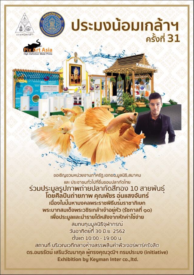 NuneNudee's tweet photo. #ประมงน้อมเกล้าครั้งที่31
#ทำบุญ #betta
#ปลากัดเป็นสัตว์น้ำประจำชาติ
#ประมูล #ภาพถ่าย #ศิลปินภาพถ่าย #nikonphotography #nikonnpf #nikonD5 #futurepark #ฟิวเจอร์พาร์ครังสิต #เซ็นทรัลฟิวเจอร์พาร์ค https://t.co/FHfzMnBdFR